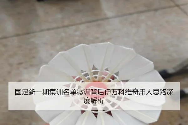 国足新一期集训名单微调背后伊万科维奇用人思路深度解析