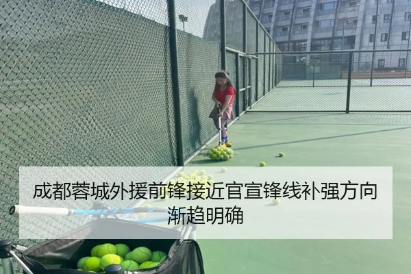 成都蓉城外援前锋接近官宣锋线补强方向渐趋明确